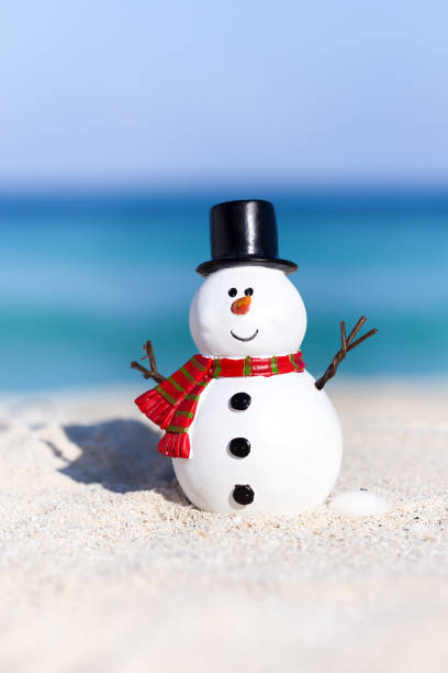istock Snowman toy on white sandy beach 853478904
