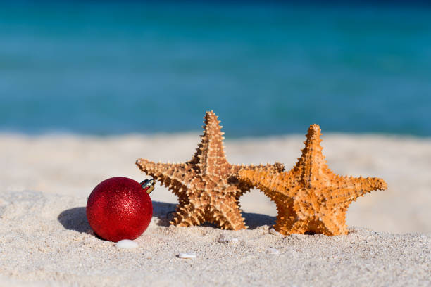 istock Tropical christmas and New Year celebration 853479236