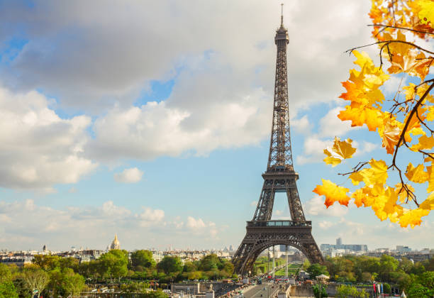 istock eiffel tour and from  Trocadero, Pari 853485514