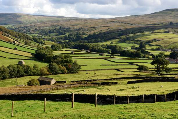 istock Dry stone walls and field barns 853485766