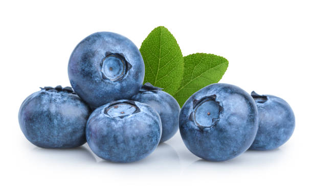 블루베리 흰색 바탕에 흰색 배경 - blueberry fruit berry fruit food 뉴��스 사진 이미지