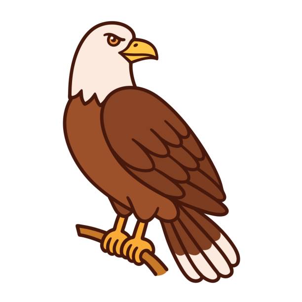 Eagle Cartoon Illustration Stock Illustration - Download Image Now - Bald  Eagle, Clip Art, Animal - iStock