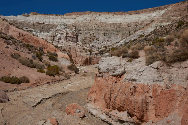 istock Dry river valley on the Altiplano 853507936