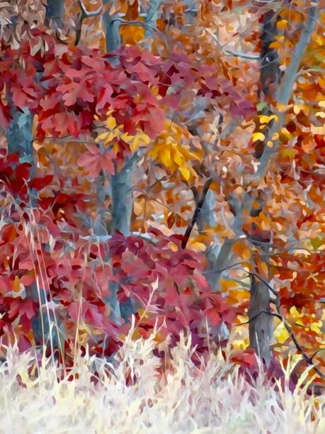 istock Autumn in the woods 853507954