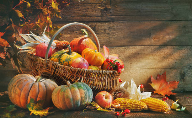 Thanksgiving background with pumpkins Thanksgiving pumpkins and falling leaves on  rustic wooden plank in barn gourd stock pictures, royalty-free photos & images