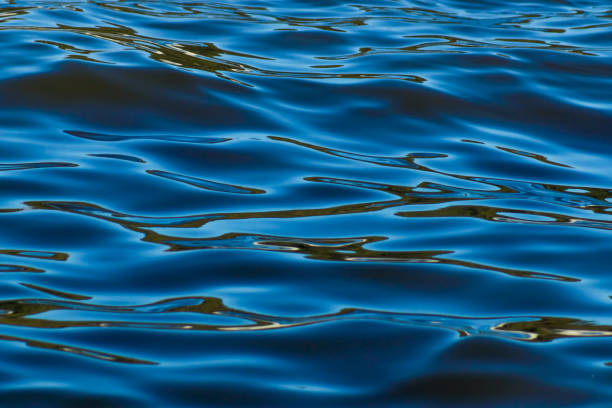 istock Blue tones water waves surface as background, sea waves close-up view 853518504