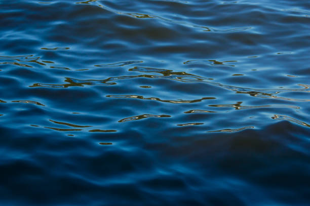 istock Blue tones water waves surface as background, sea waves close-up view 853518648