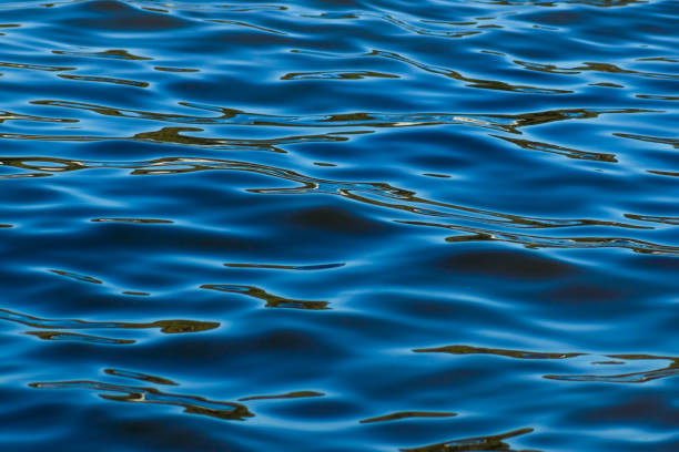 istock Blue tones water waves surface as background, sea waves close-up view 853518694