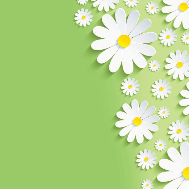 Spring green nature background with white chamomiles Beautiful spring nature background with 3d flower chamomiles. Stylish modern creative floral wallpaper. Greeting or invitation card. Vector illustration springtime stock illustrations