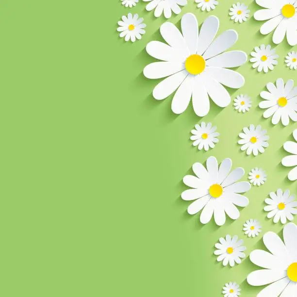 Vector illustration of Spring green nature background with white chamomiles