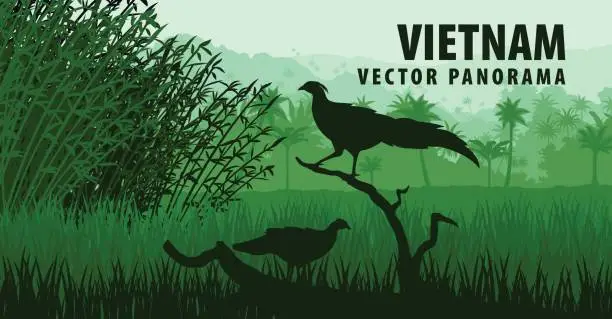 Vector illustration of vector panorama of Vietnam with vietnamese pheasant in jungle rainforest