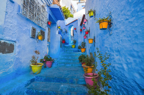 istock Blue wall and staircase decorated with colourful flowerpots. 853565140