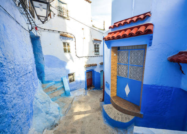 istock Blue wall and staircase decorated with colourful flowerpots. 853565426