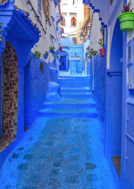 istock Blue wall and staircase decorated with colourful flowerpots. 853565692
