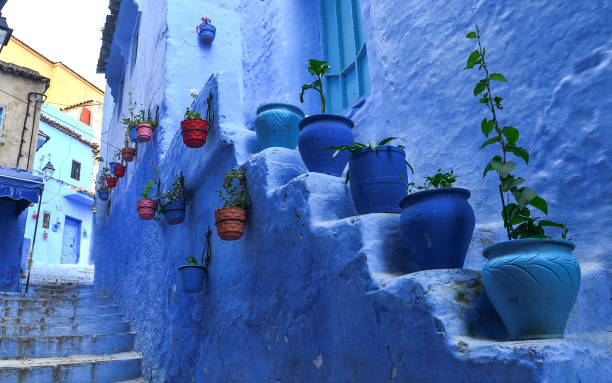 istock Blue wall and staircase decorated with colourful flowerpots. 853569480