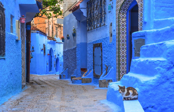 улица с лестницей в медине шефчауэна, марокко. chefchaouen или chaouen известно, что дома в этом старом городе окрашены в поразительный, по-разному си - hued стоковые фото и изображения