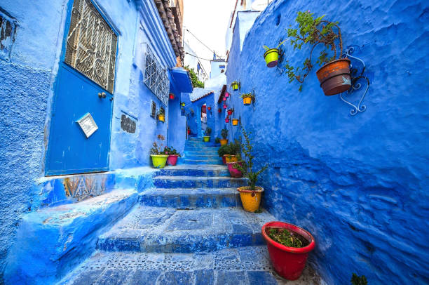 istock Blue wall and staircase decorated with colourful flowerpots. 853575938