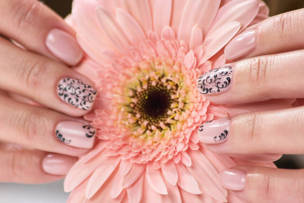 istock Elegant female hands holding gerbera. 853587622