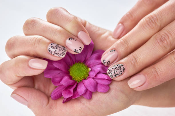 istock Female manicured hands holding chrysanthemum. 853587900