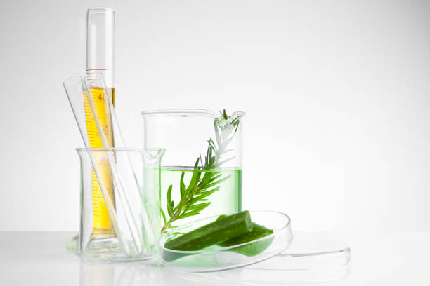 istock herbal medicine natural organic and scientific glassware, Research and development concept. 853601094