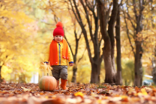 istock kid in autumn park with pumpkin 853613946
