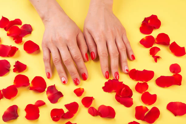 istock Female manicured hands surrounded with petals. 853613968