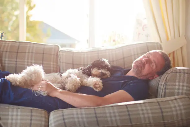 a man has a nap on the couch joined by his little dog