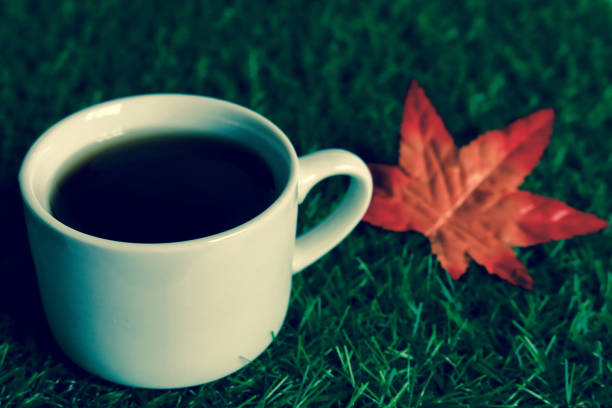 istock Coffee and fake fallen leaves 853621662