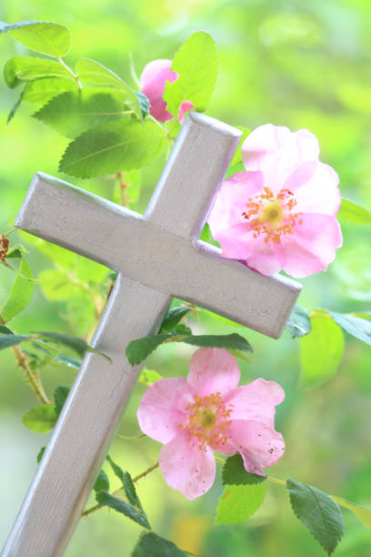istock Pink Roses on a Wooden Cross 853626960