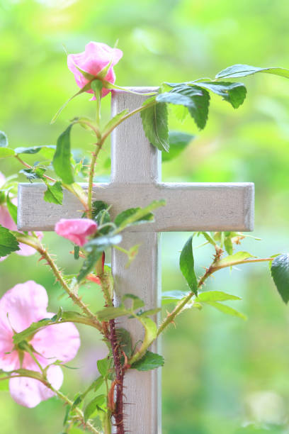 istock Pink Roses on a Wooden Cross 853626966