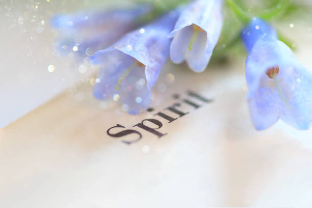 istock Bluebells displayed by the word spirit 853626984
