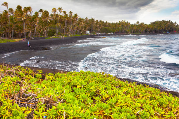 istock punalu u black sands beach hawaii big island 853634396