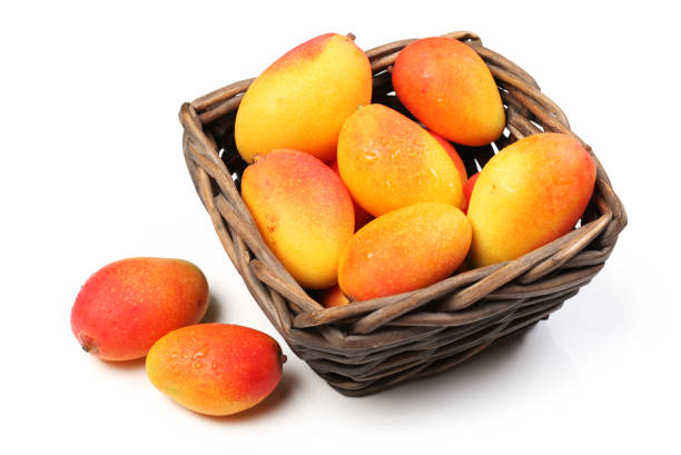 istock fresh ripe mangoes on a white background 853639212