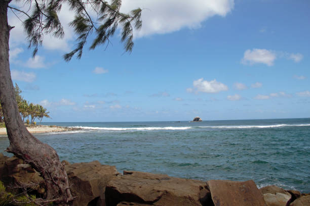 istock Gazing off shore into the ocean in Saint Lucia 853647122