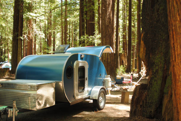 A blue teardrop camping trailer is setup at a campsite surrounded by redwood trees in Humboldt Redwoods State Park in California