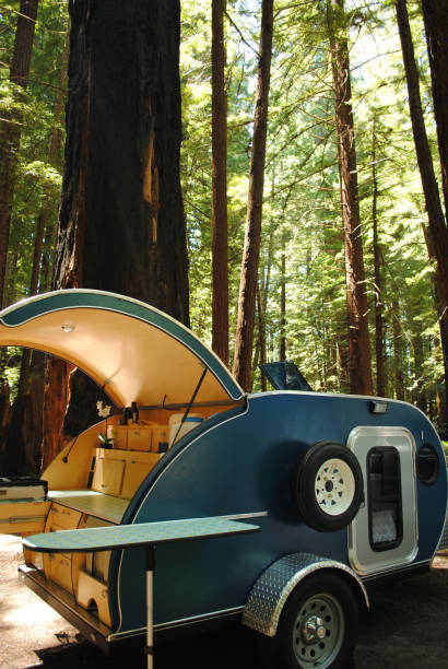 istock Teardrop trailer campsite in Redwood Forest 853677302