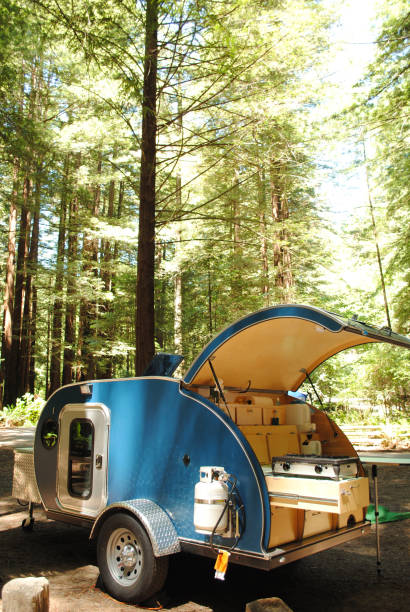 Teardrop trailer campsite in Redwood Forest