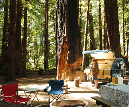 A man cooks over a propane stove in a teardrop trailer kitchen while camping surrounded by redwood trees in Humboldt Redwoods State Park in California