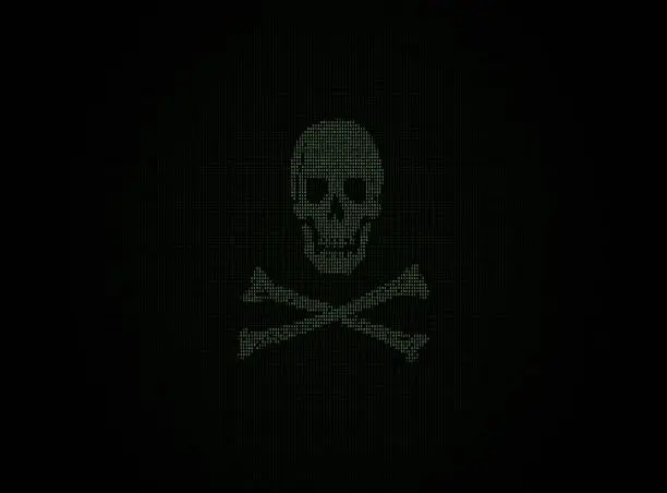 Photo of Digital Pirate