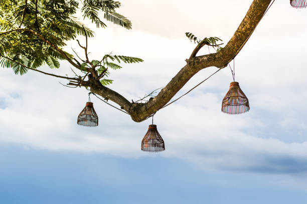coop lamps  hanging decorations on the tree