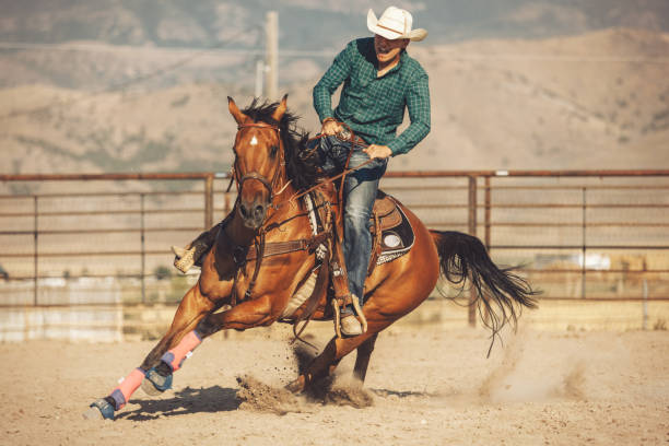 horse barrel run Horse barrel run at the rodeo. cowboy photos stock pictures, royalty-free photos & images
