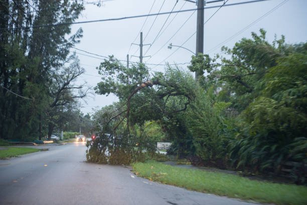 istock Aftermath of Hurricane Irma in Miami, Florida 853719620