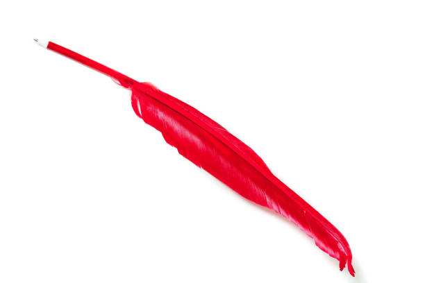 istock Original pen in form of cock feather on white background 853720392