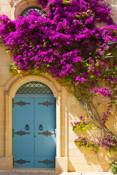 istock Maltese door decorated with flowers 853723362