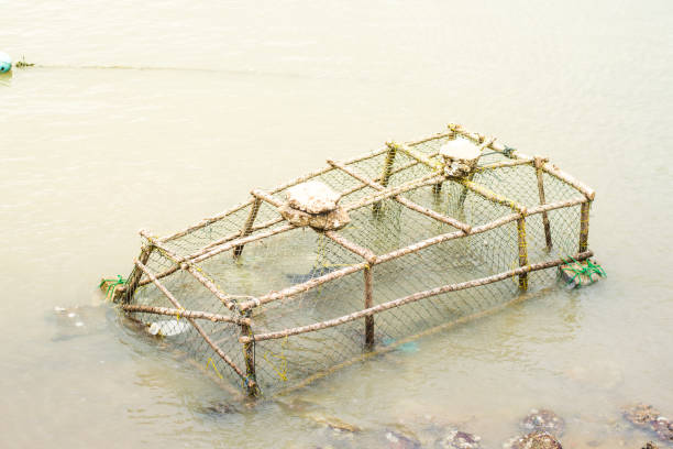 Typical Nasa basket trap to fish seafood and octopus