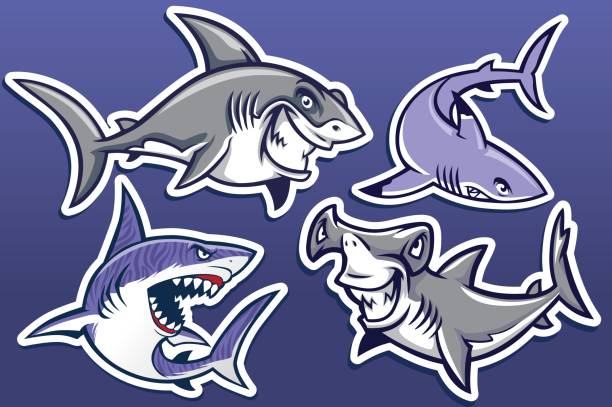 cartoon of shark collection pack vector of cartoon of shark collection pack tiger shark stock illustrations