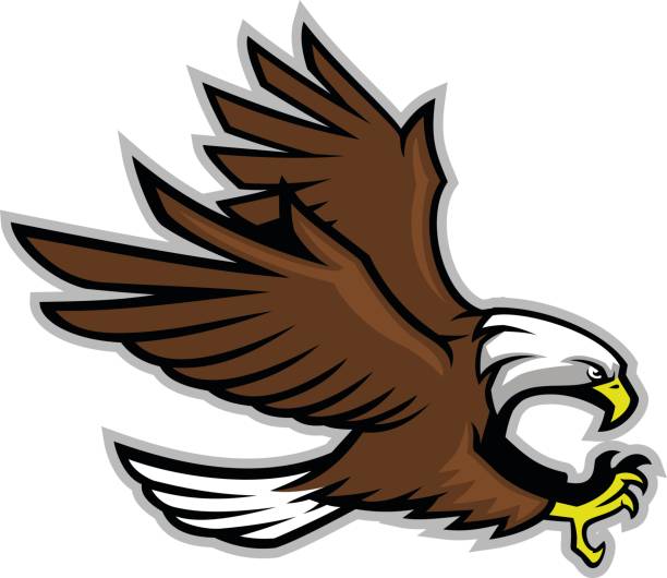 łysa maskotka orła - usa animal bald eagle bird stock illustrations