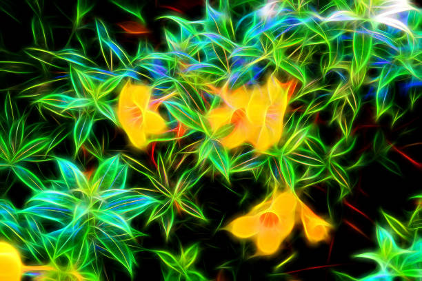 Fresh flowers. stock photo