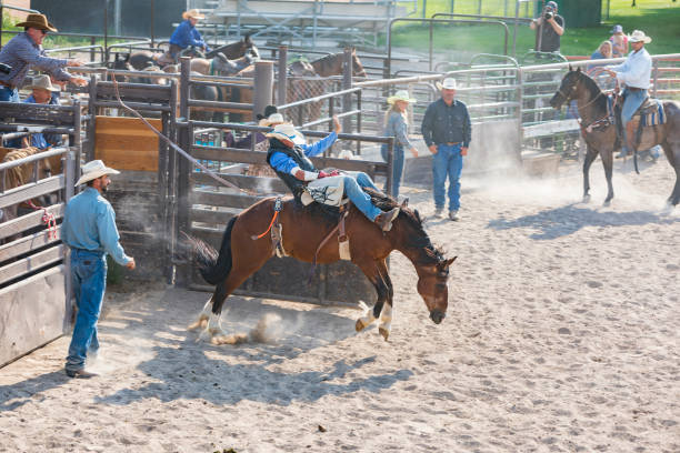 istock Cowboy Riding a Bucking Bronco at a Rodeo 853732352