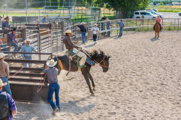 istock Cowboy Riding a Bucking Bronco at a Rodeo 853732354